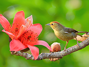 sue hsu's photo